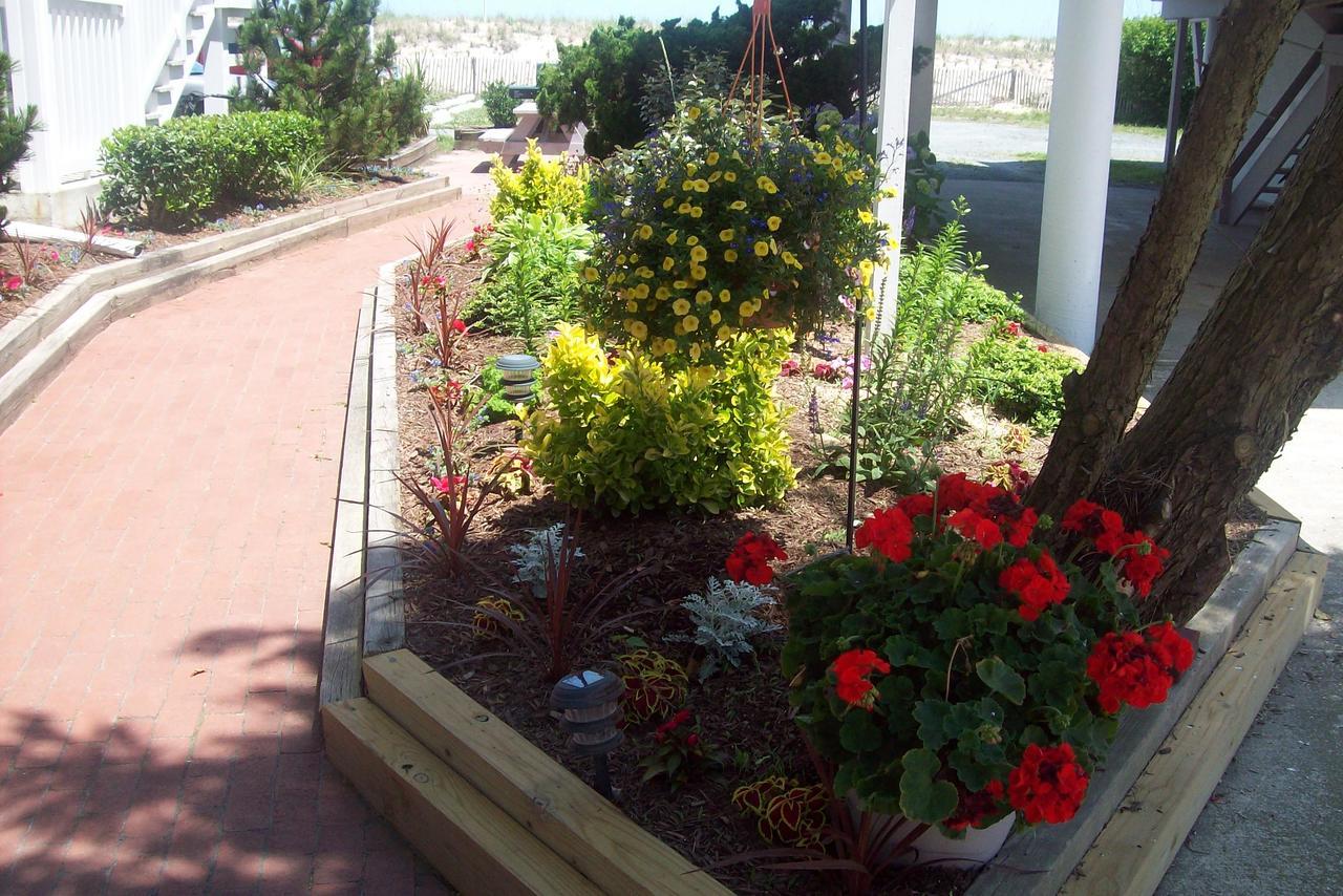 Adams Ocean Front Resort Dewey Beach Extérieur photo